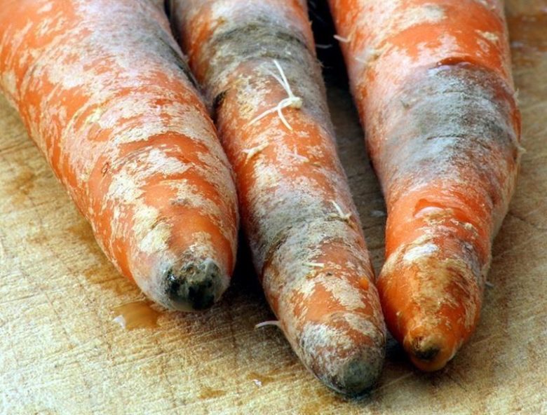 Серая гниль (Ботритиоз)