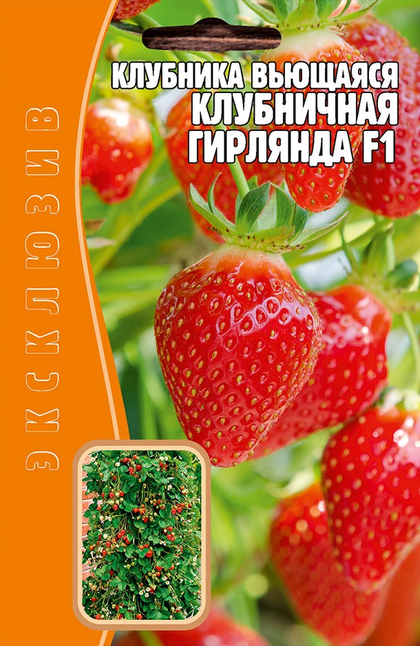 Земляника Вьющаяся Гирлянда F1