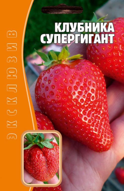 Земляника Супергигант