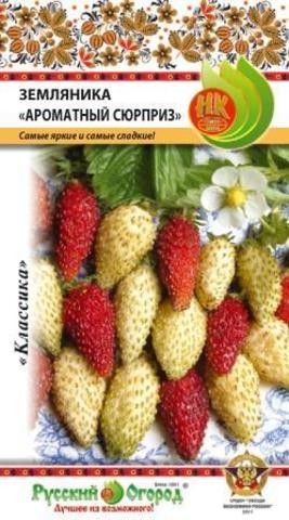 Земляника Ароматный сюрприз