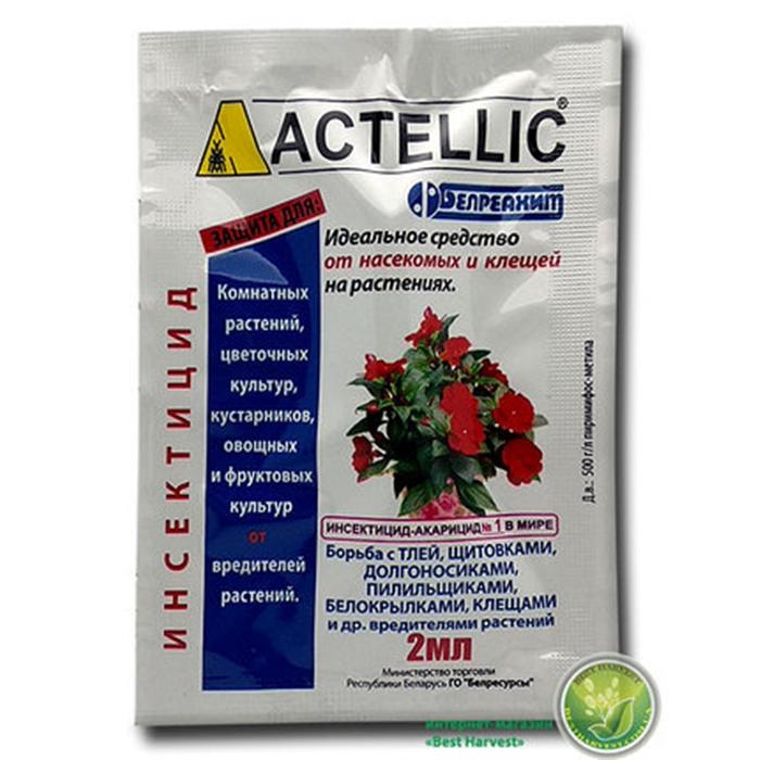 Актеллик