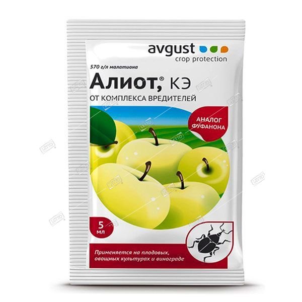Алиот
