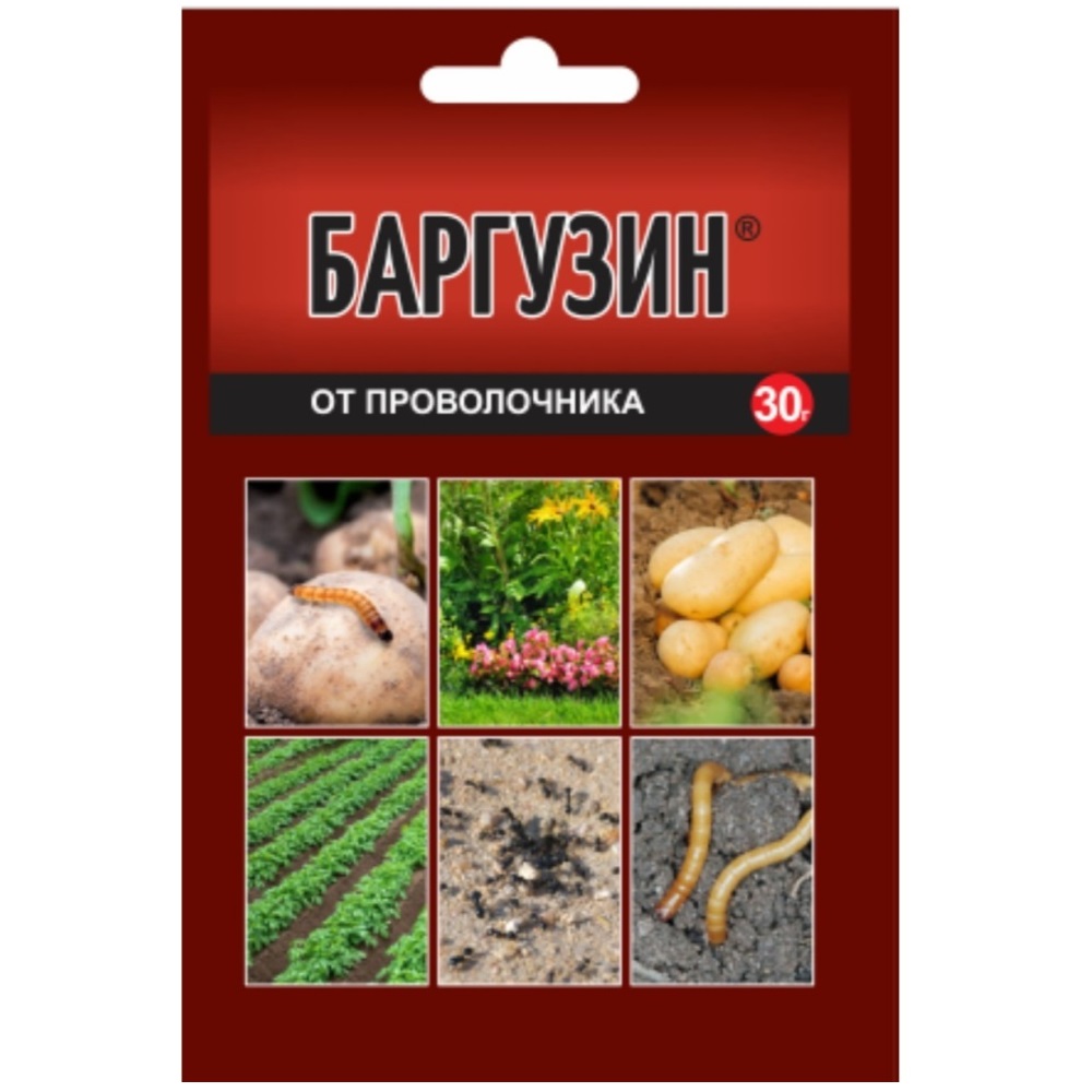 Баргузин