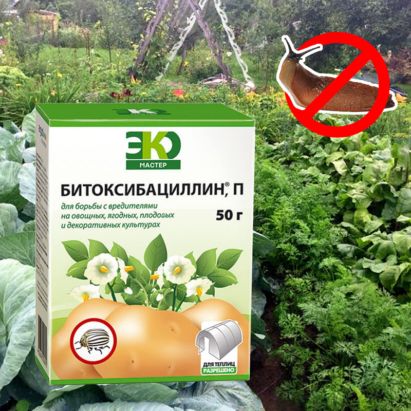Битоксибациллин
