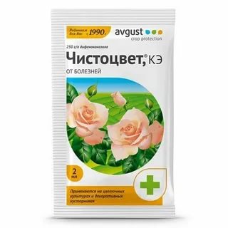 Чистоцвет