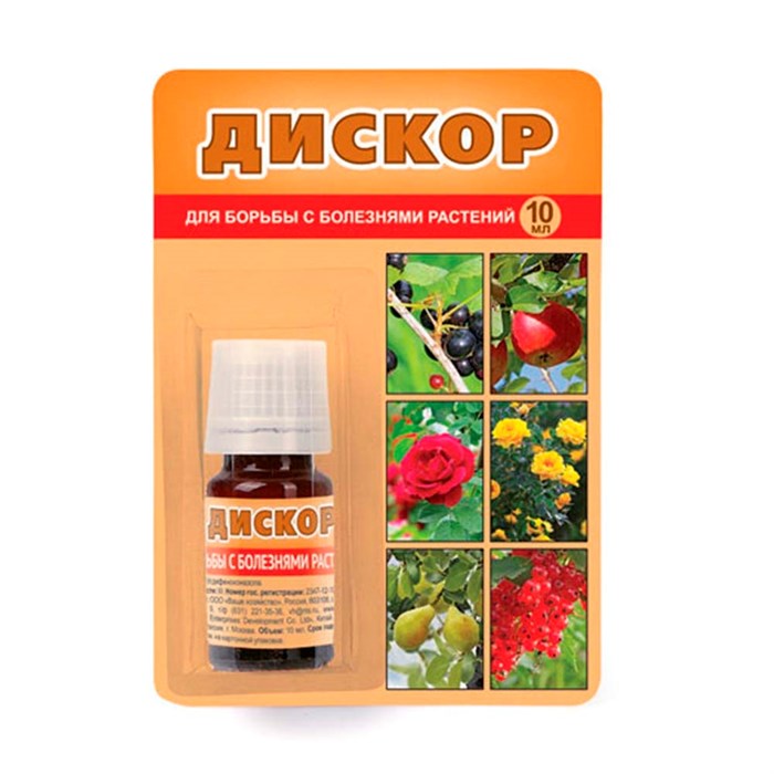 Дискор