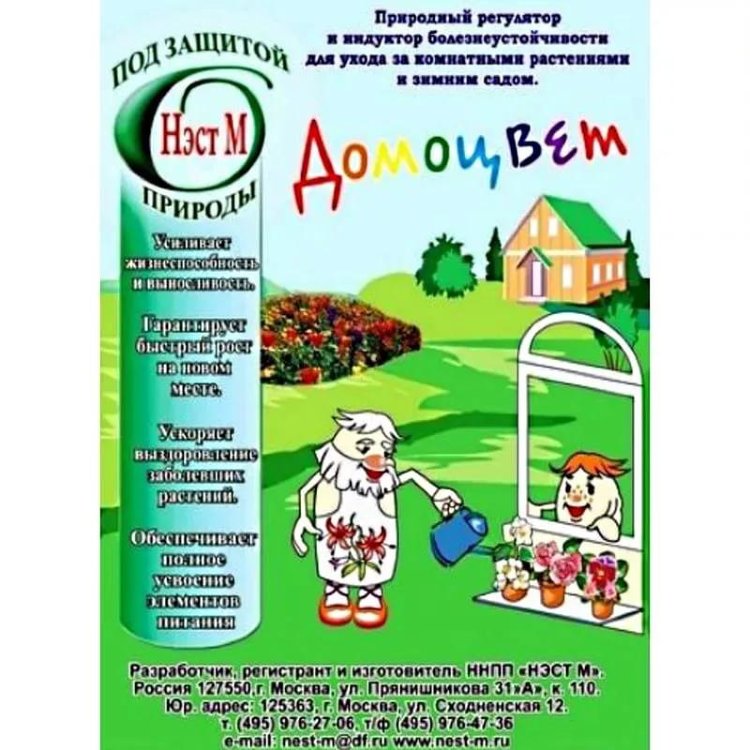 Домоцвет