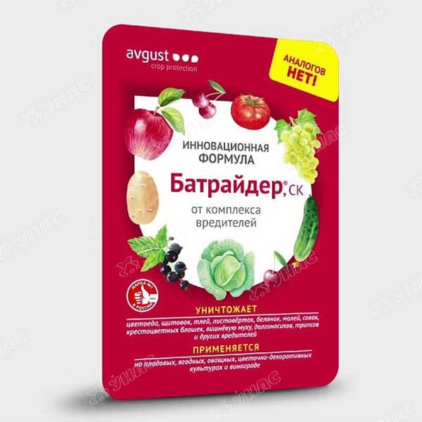 Батрайдер