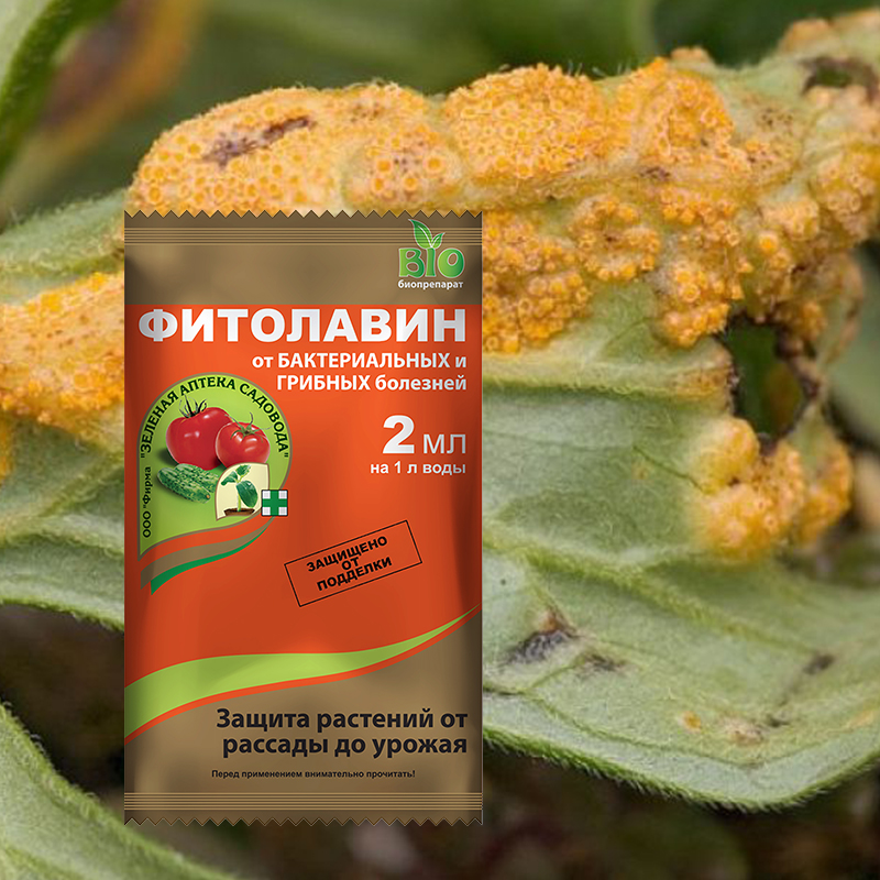 Фитолавин