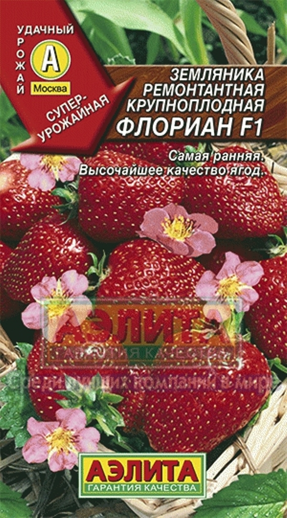 земляника флориан аэлита 5 шт