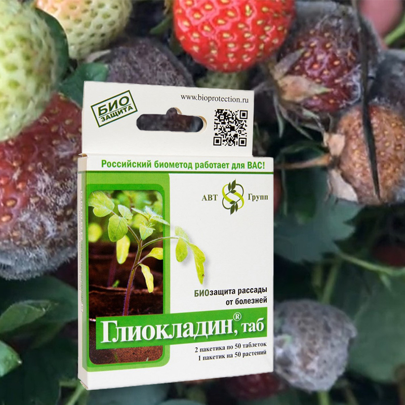 Глиокладин