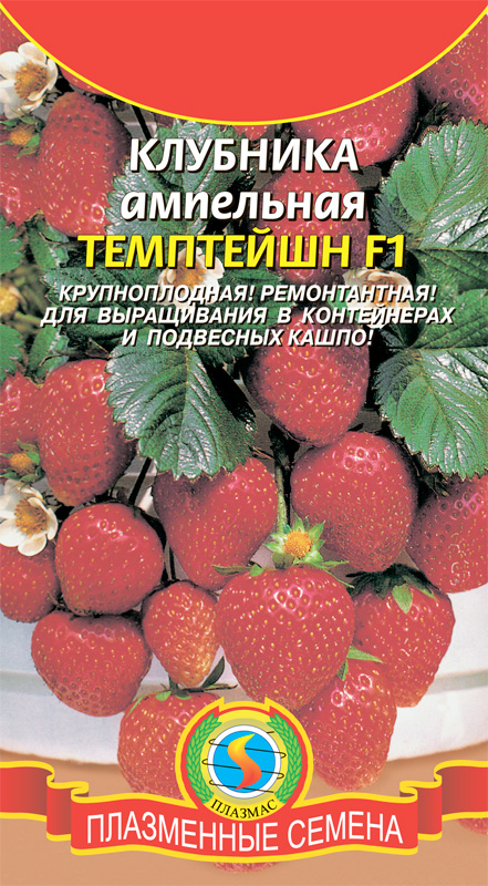 Клубника Темптейшн ампельная F1