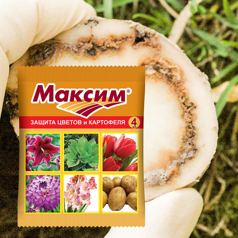 Максим
