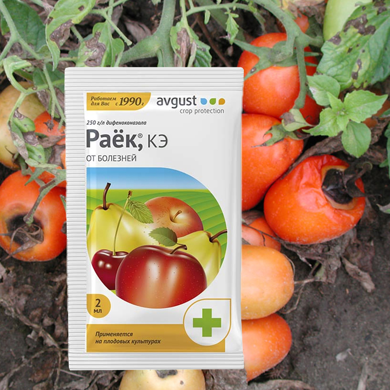 Раёк