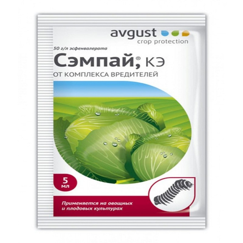 Сэмпай