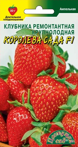 Земляника Королева Сада