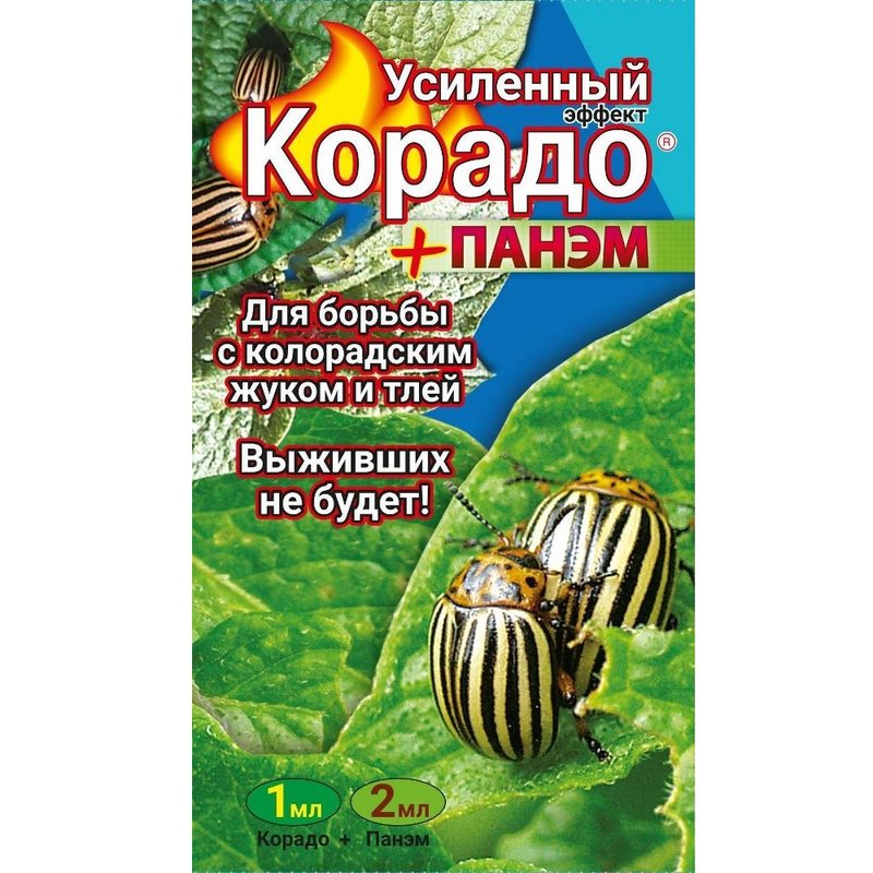 Корадо+панэм +