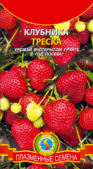 Клубника Треска упаковка