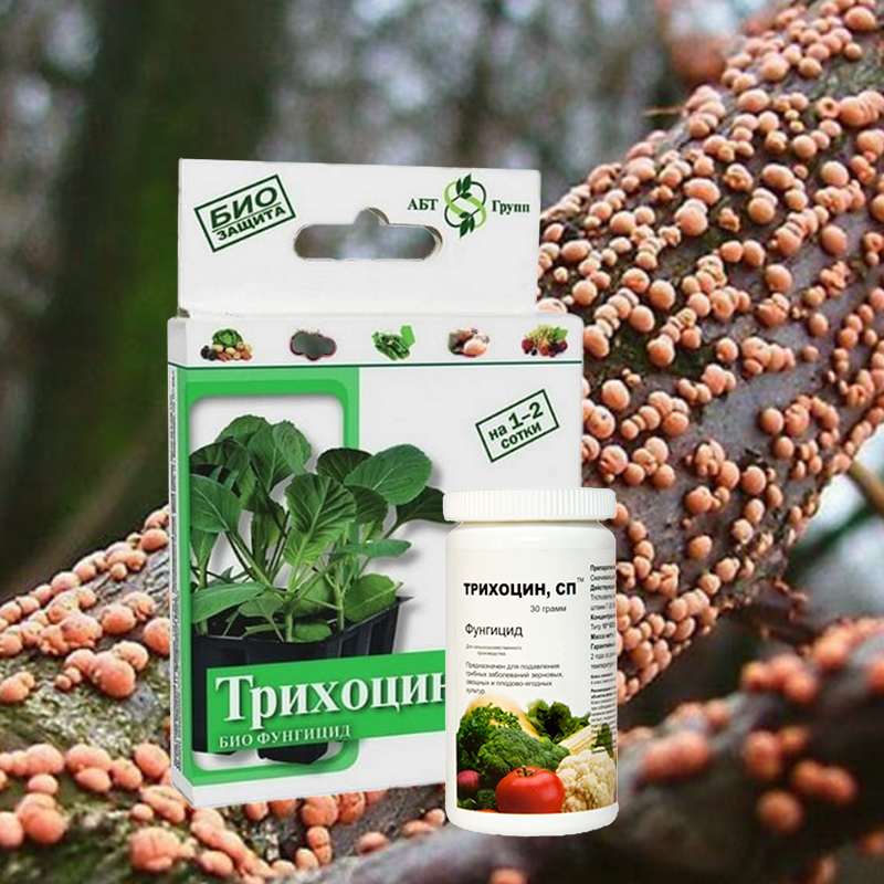 Трихоцин