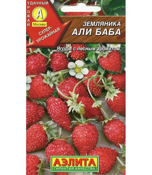 Земляника Али Баба Аэлита