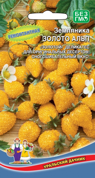 Земляника альпийская Золото Альп Уральский дачник